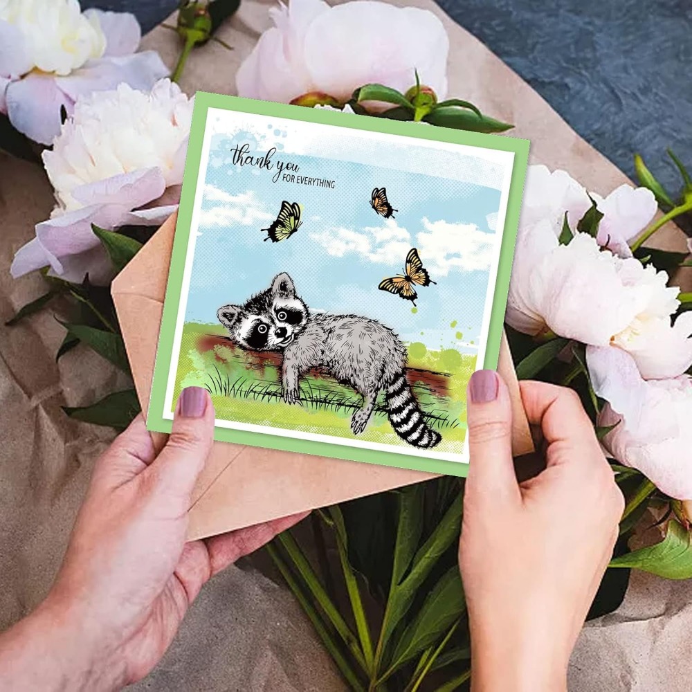 Raccoon realistis perangko ben - Clear Silicone Stamps For Card Making ulasan dan harga